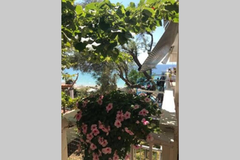 Stefani Apartment With A Sea View Terrace! Nea Moudania Room photo